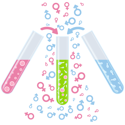 Fertilization