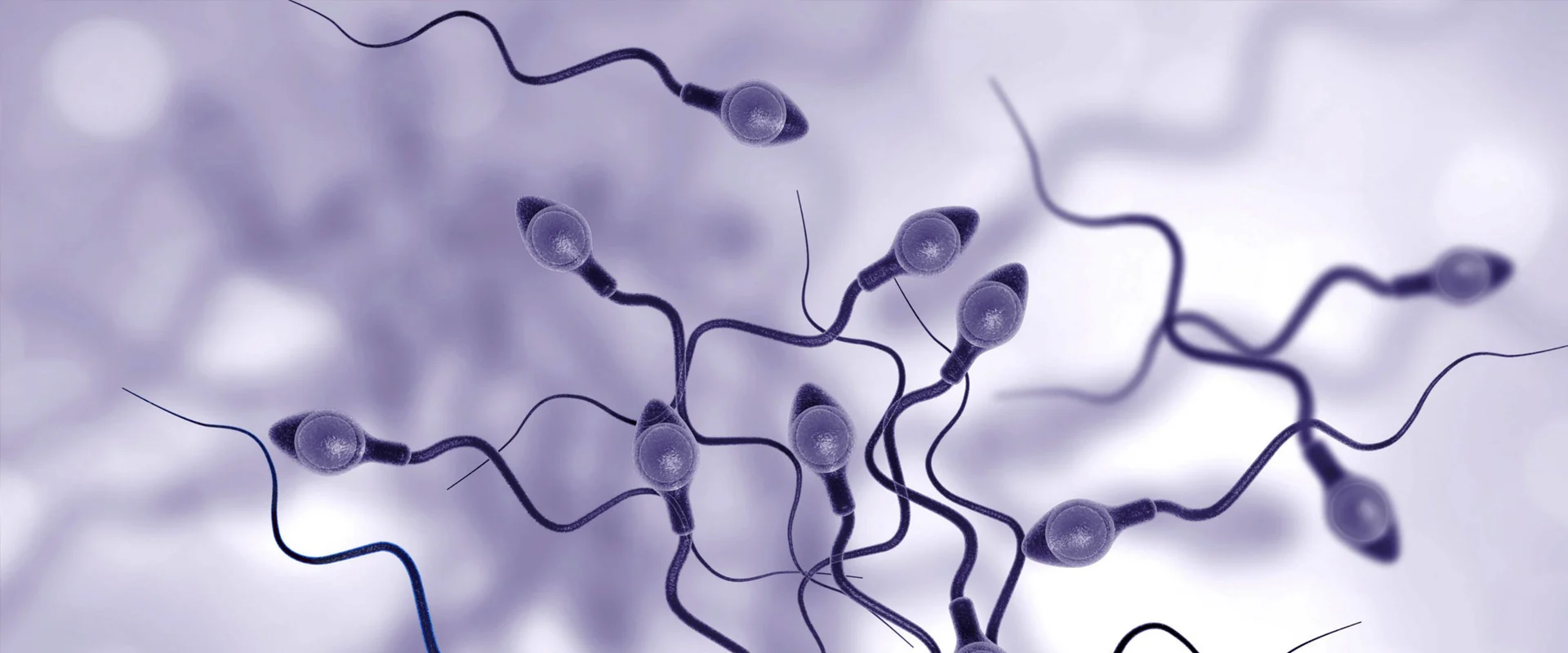 Biologie de la reproduction, fertilité et PMA au laboratoire LABOMAC à Casablanca